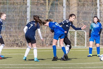 Bild 214 - wCJ Alstertal-Langenhorn - Ellerau : Ergebnis: 3:1